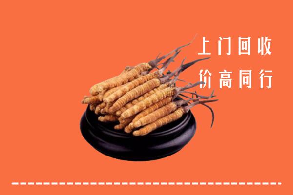 高价求购：中阳县回收散虫草