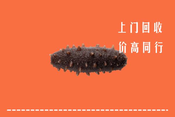 高价求购：中阳县回收海参