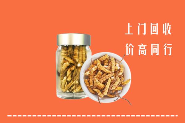 中阳县回收冬虫夏草